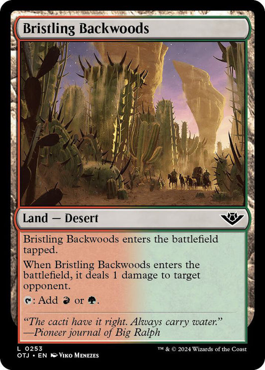 Bristling Backwoods Land Desert OTJ NM