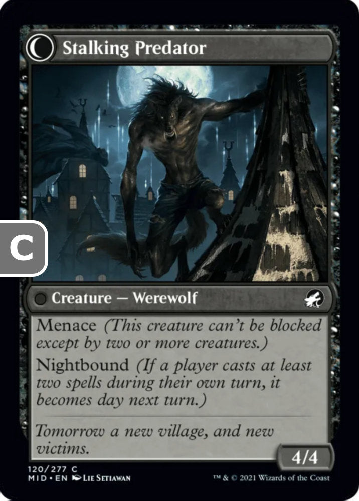 Shady Traveler/Stalking Predator MID Creature Human Werewolf/Werewolf NM