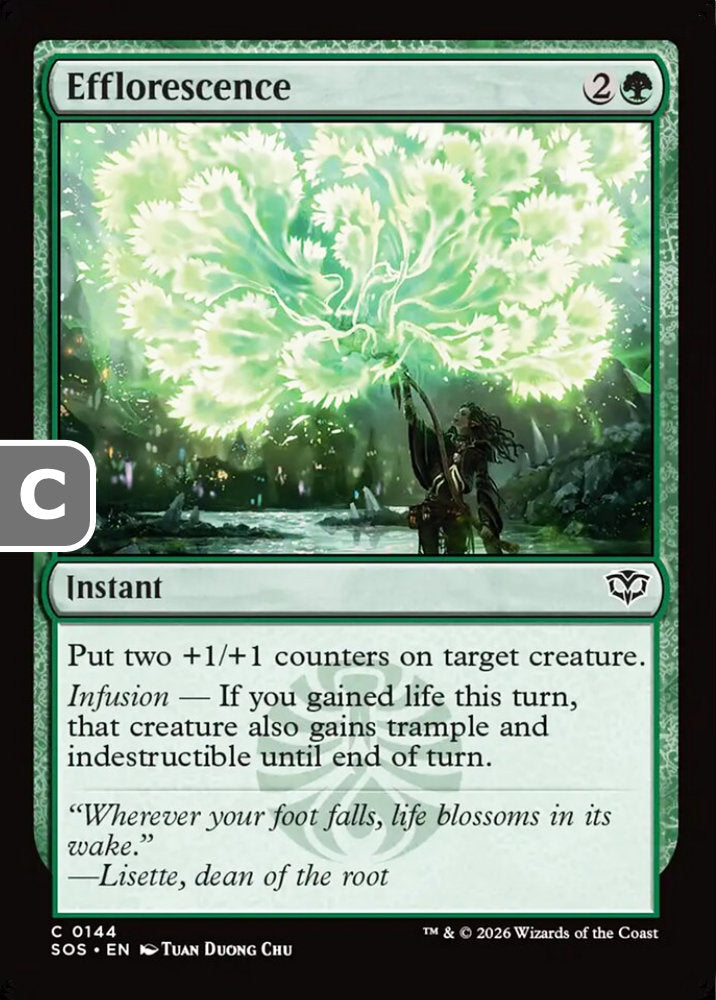 Efflorescence SOS Instant  NM