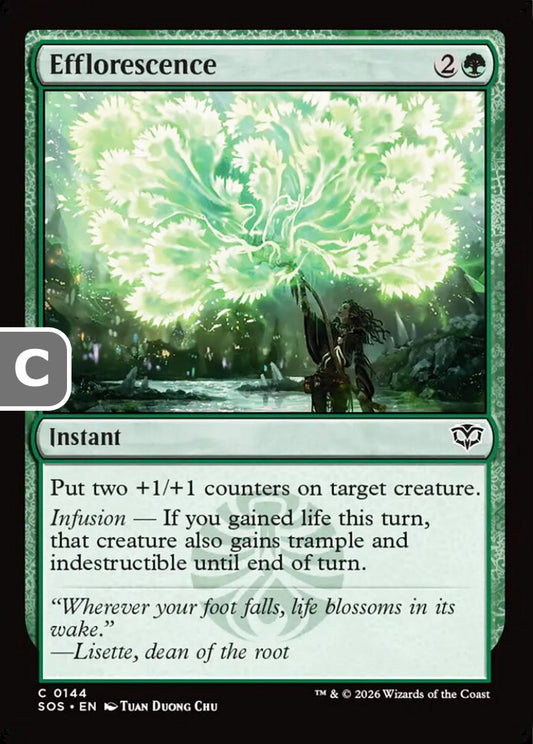 Efflorescence SOS Instant  NM