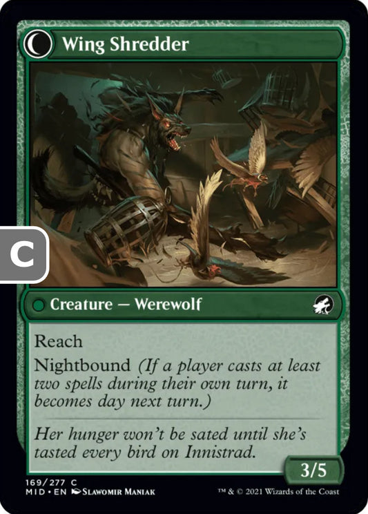 Bird Admirer/Wing Shredder MID Creature Human Archer Werewolf/Werewolf NM