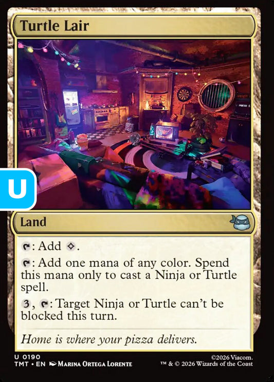 Turtle Lair TMT Land  NM