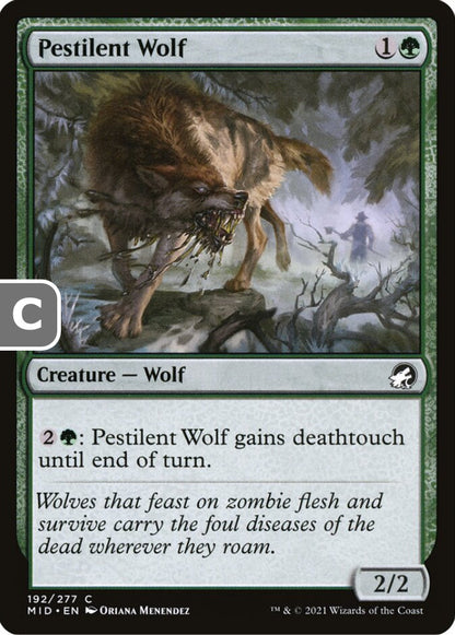 Pestilent Wolf MID Creature Wolf NM