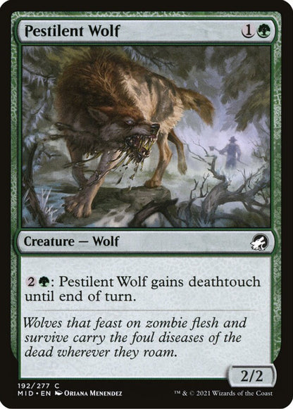 Pestilent Wolf MID Creature Wolf NM