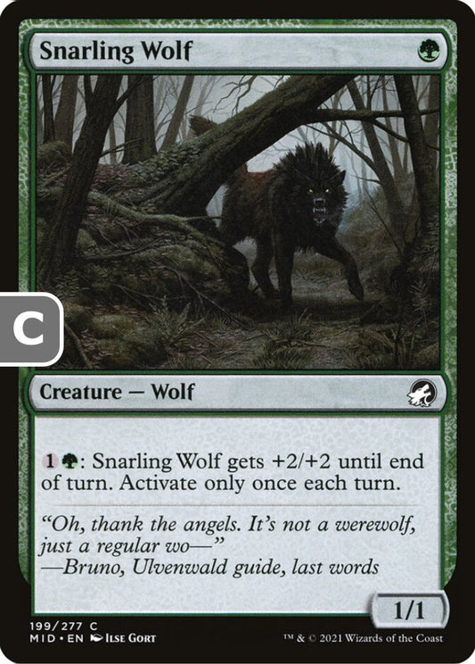 Snarling Wolf MID Creature Wolf NM