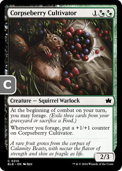 Corpseberry Cultivator BLB Creature Squirrel Warlock NM