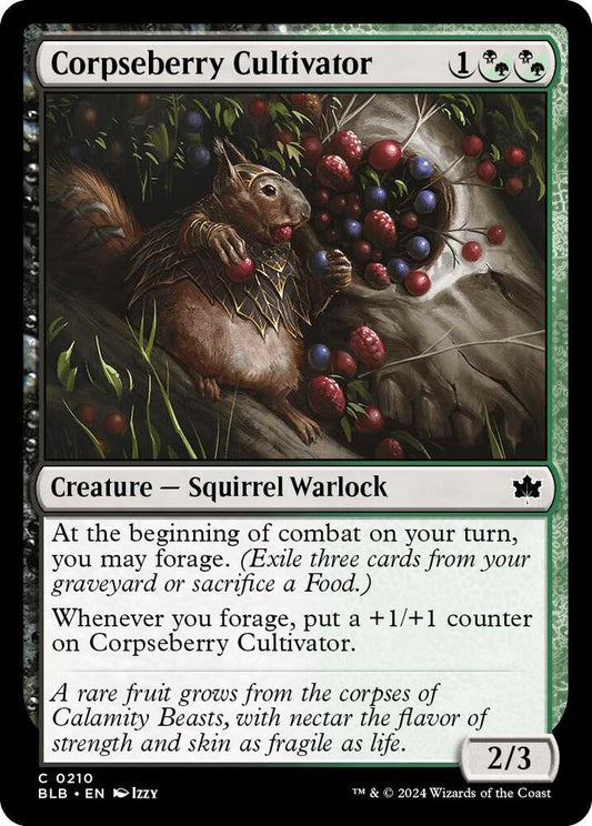Corpseberry Cultivator BLB Creature Squirrel Warlock NM