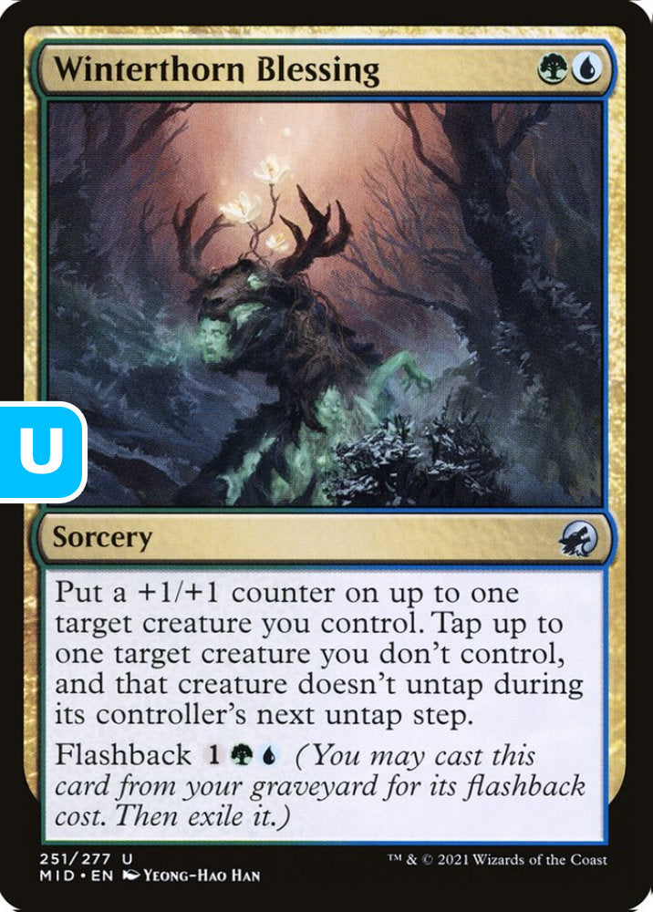 Winterthorn Blessing MID Sorcery  NM