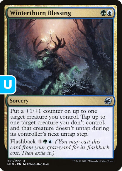 Winterthorn Blessing MID Sorcery  NM