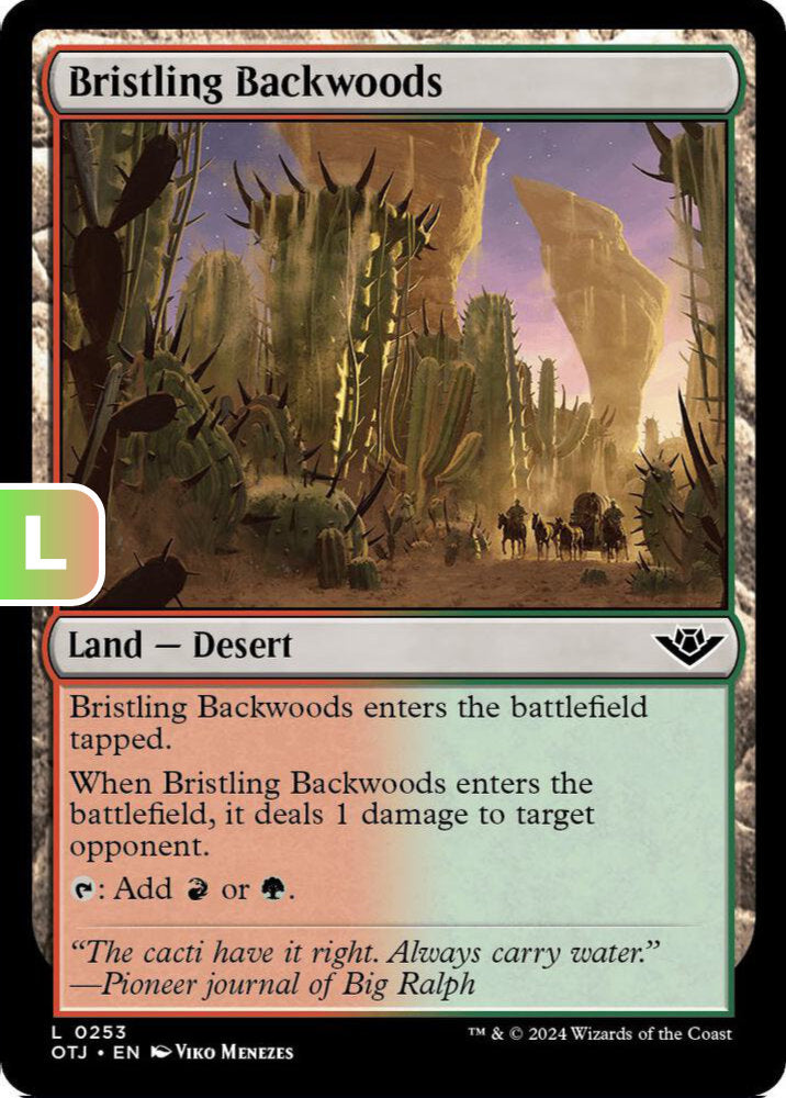 Bristling Backwoods Land Desert OTJ NM