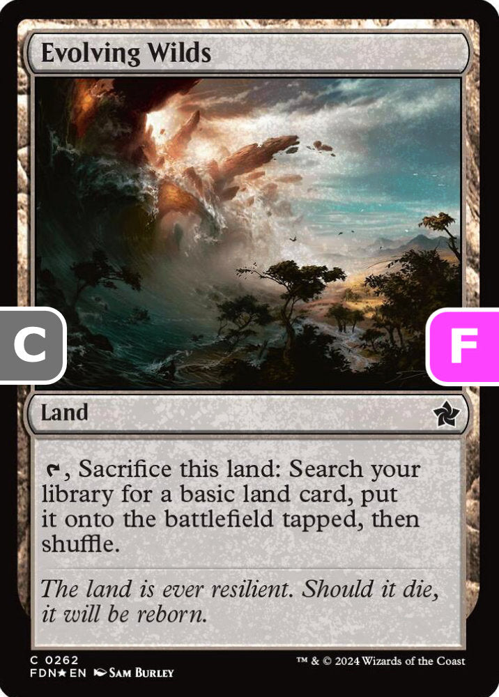 Evolving Wilds FDN Land  *Foil* NM