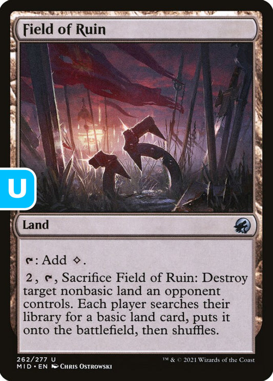 Field of Ruin MID Land  NM