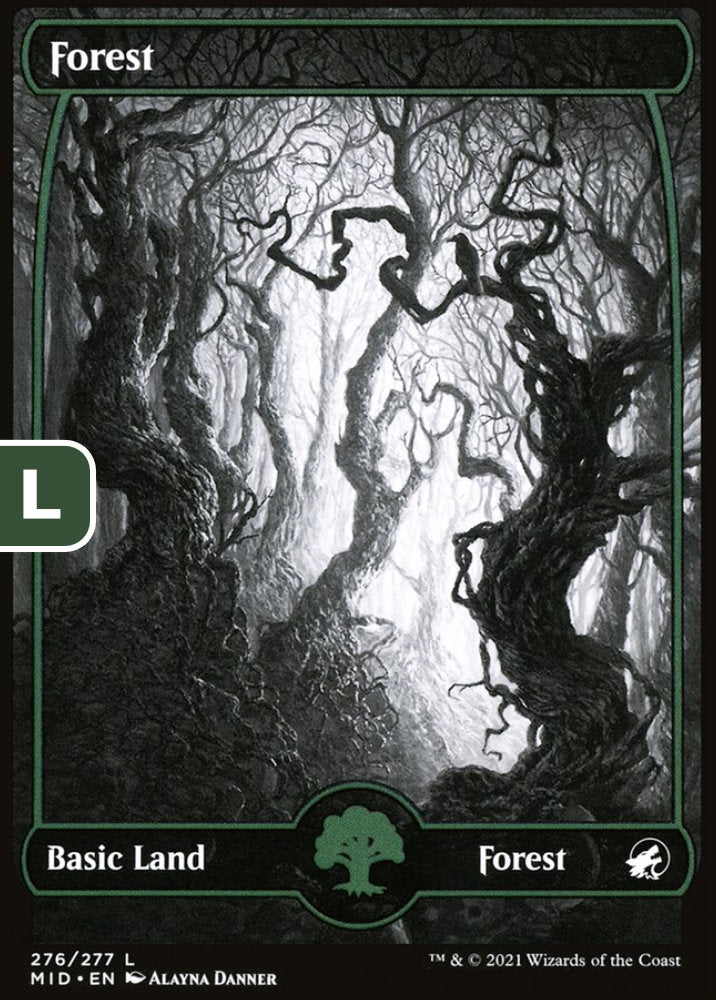 Forest MID Basic Land Forest NM