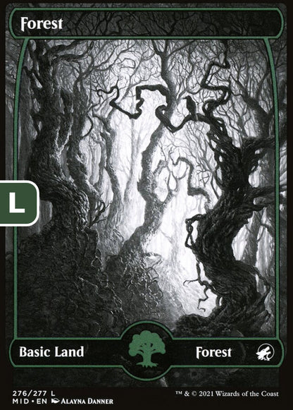 Forest MID Basic Land Forest NM