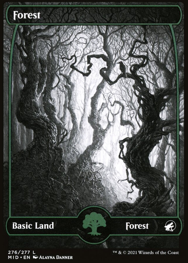 Forest MID Basic Land Forest NM