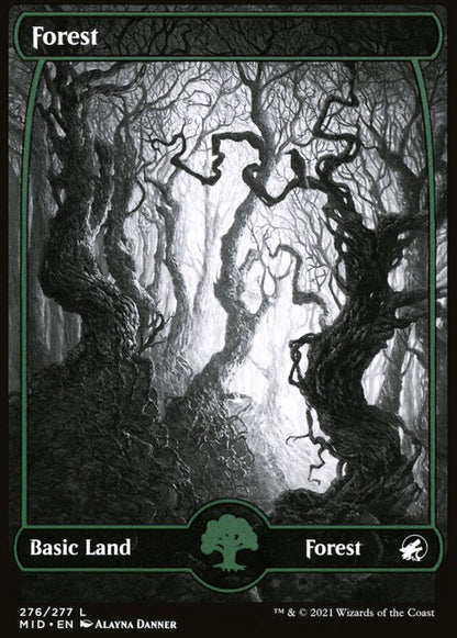 Forest MID Basic Land Forest NM