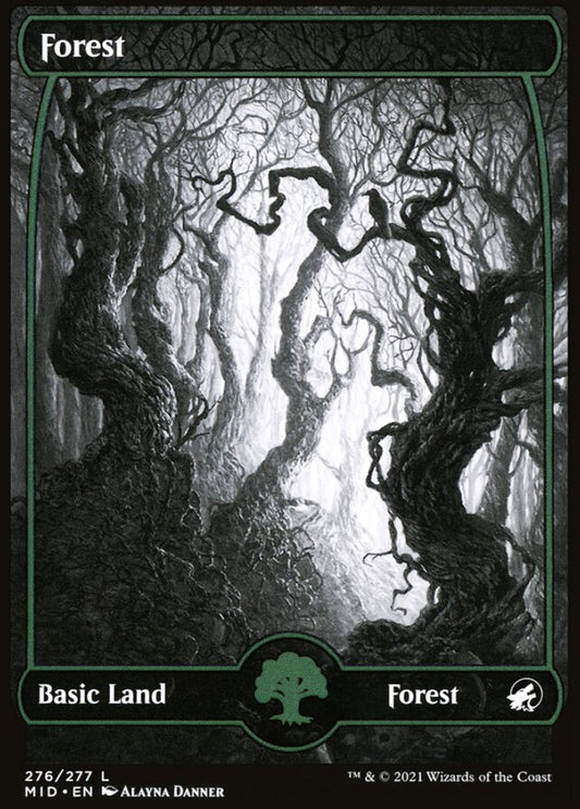 Forest MID Basic Land Forest NM