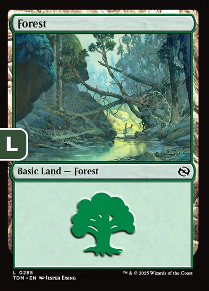 Forest TDM Basic Land Forest NM