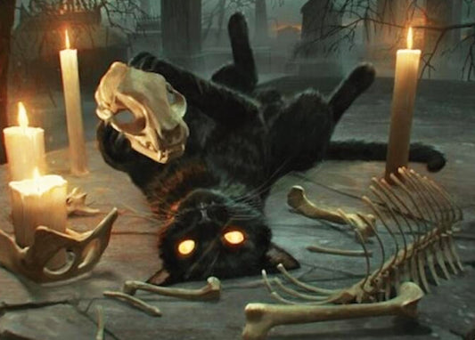 Nine-Lives Familiar FDN Art Card  NM