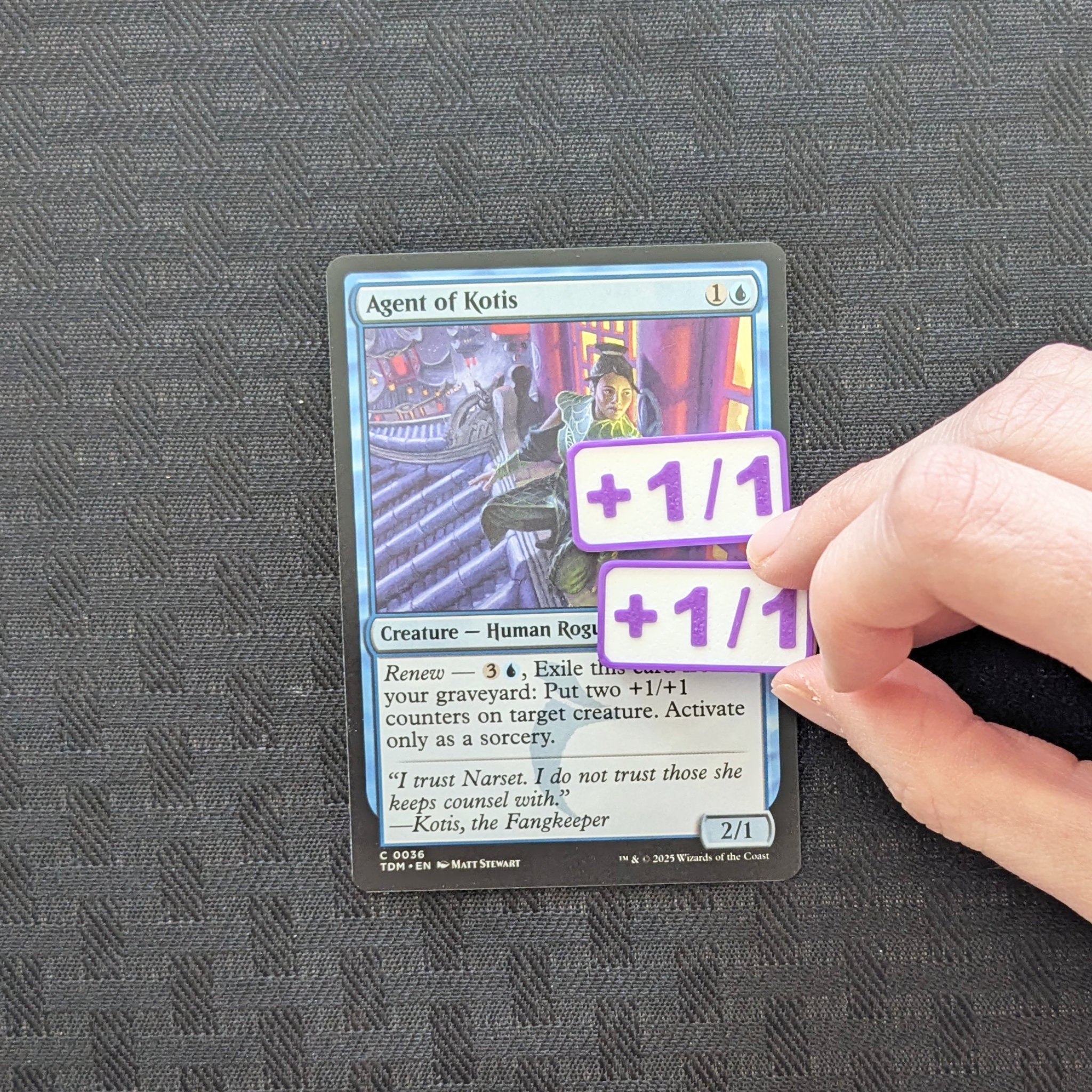 MTG Counter Set | +1/+1 & -1/-1 Tokens for Magic: The Gathering